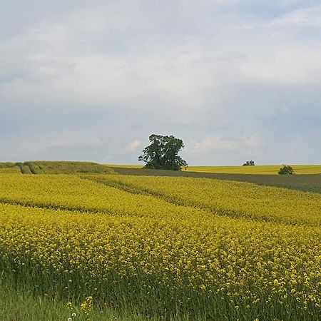 Auszeit Am Rosengarten, Zentrumsnah Гюстров Екстер'єр фото
